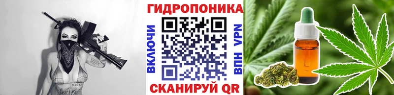где купить наркоту  Иноземцево  Бошки марихуана Ganja 